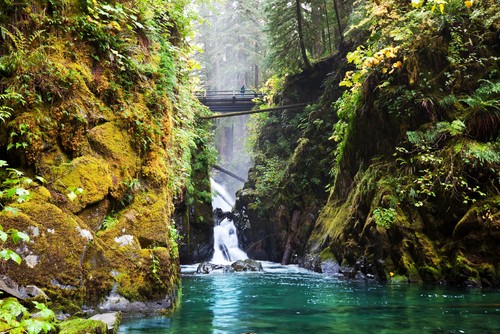 Olympic National Park is located in the Pacific Northwest on Washington's Olympic Peninsula.