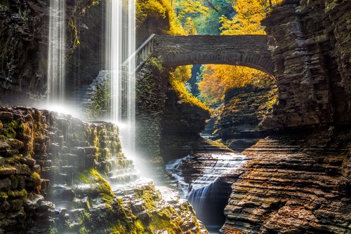 Watkins Glen State Park, known for its natural beauty, contains a series of waterfalls and canyons that would astound anyone.