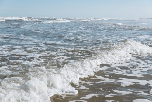 Mustang Island State Park features more than five miles of beachfront and lots of space for fun in the sun.